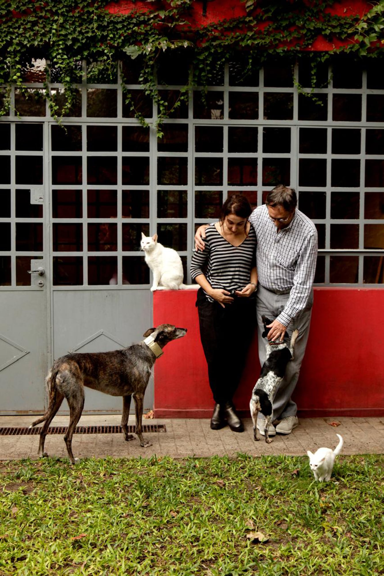 En el PH donde pasaban sus días junto a sus compañeros del mundo animal