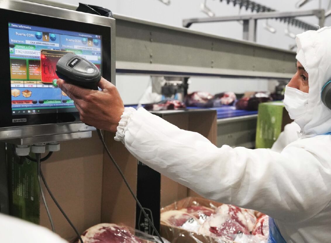 Su destino principal es China con un 38%, con carne de calidad tanto congelada como enfriada, donde no hacen trading sino que tienen cuatro clientes fijos con quienes hacen convenios de abastecimiento