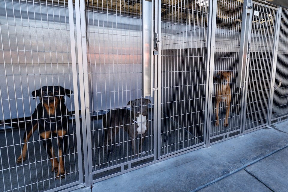 Los refugios indican que trabajan por encima de su capacidad