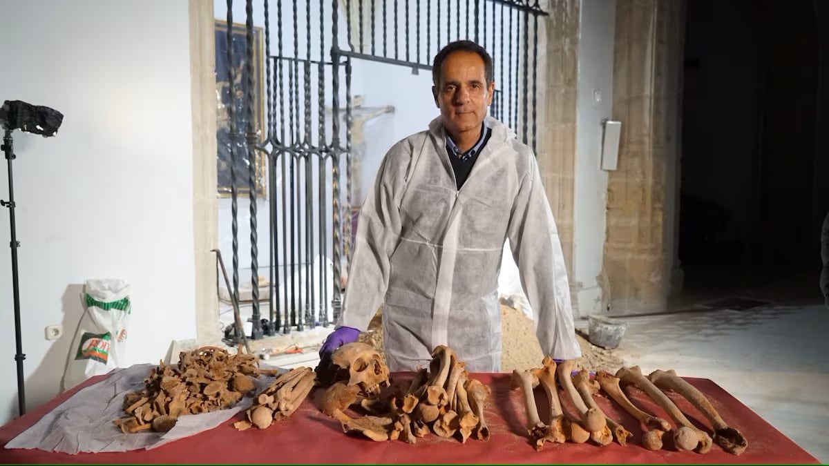 El forense José Antonio Lorente, quien tuvo a cargo la investigación sobre el origen de Cristóbal Colón