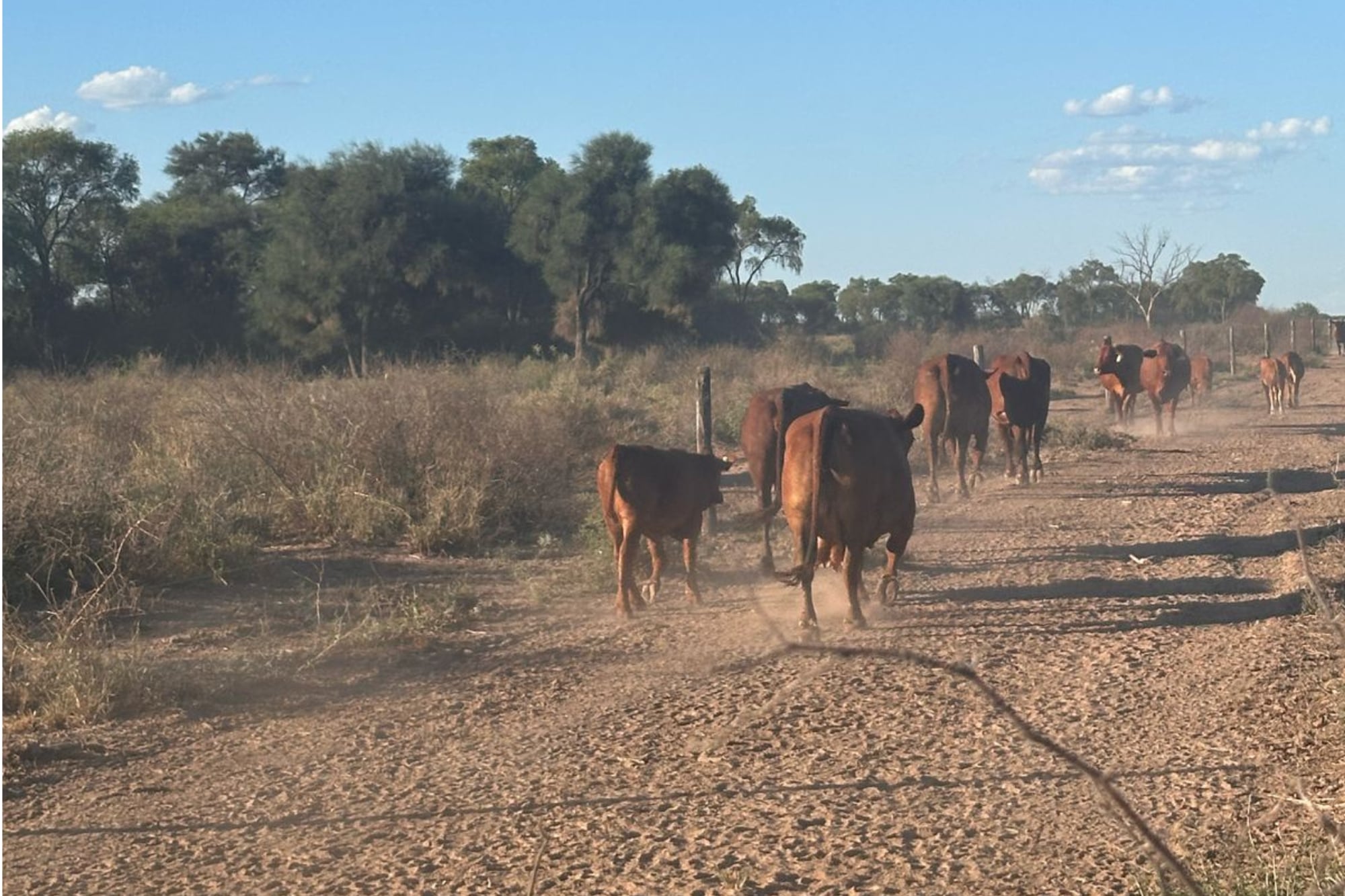 Meses atrás esa provincia fue muy afectada por la sequía