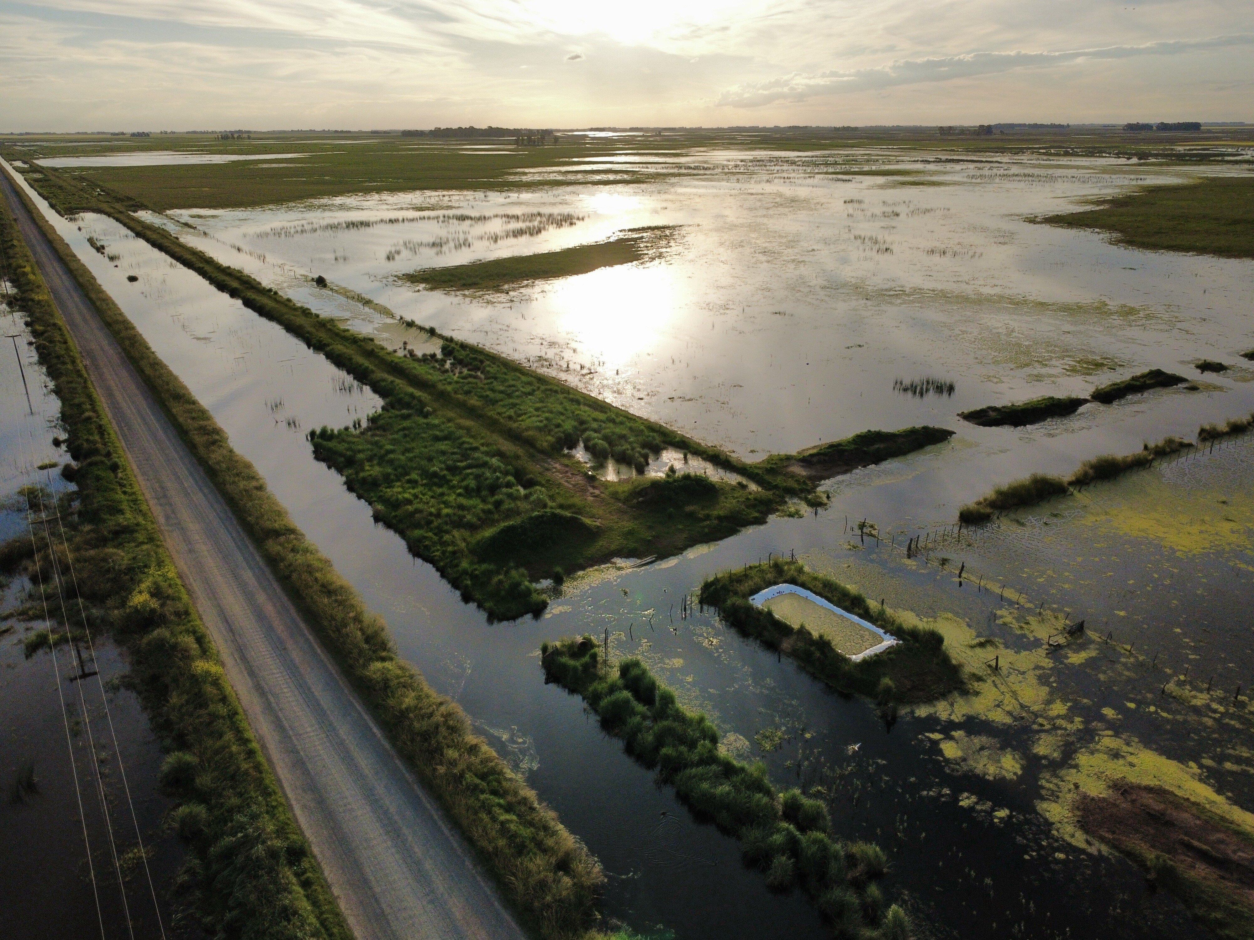 Más de la mitad del campo que trabaja en la región Jover junto a su marido está inundado