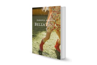 Reseña: Bella Vista, de Damasia Amadeo