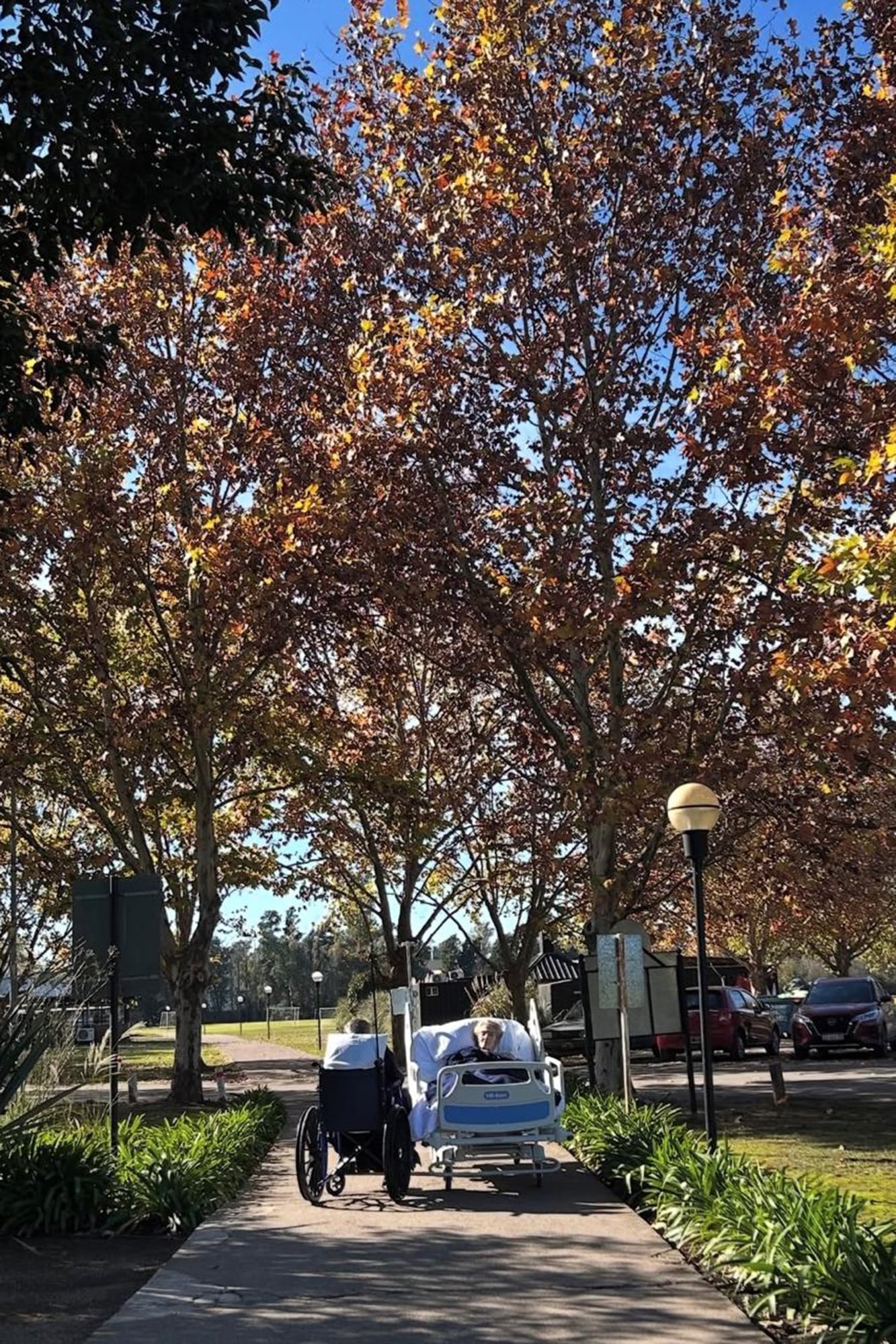 Desde 2021 el Hospital Universitario Austral, cuenta con un centro de cuidados paliativos en el que los pacientes están rodeados de naturaleza y tienen acceso diario a ella