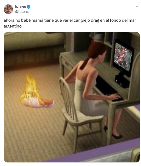 Los mejores comentarios del streaming del Conicet en las redes (Foto: X @lulens)