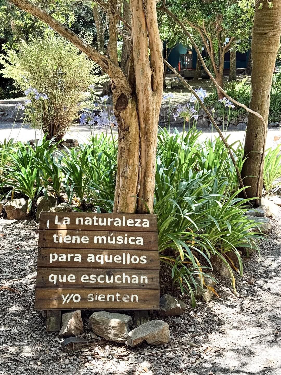 Durante sus vacaciones, la familia aprovechó para hacer actividades al aire libre (Foto: Instagram @soficalzetti)