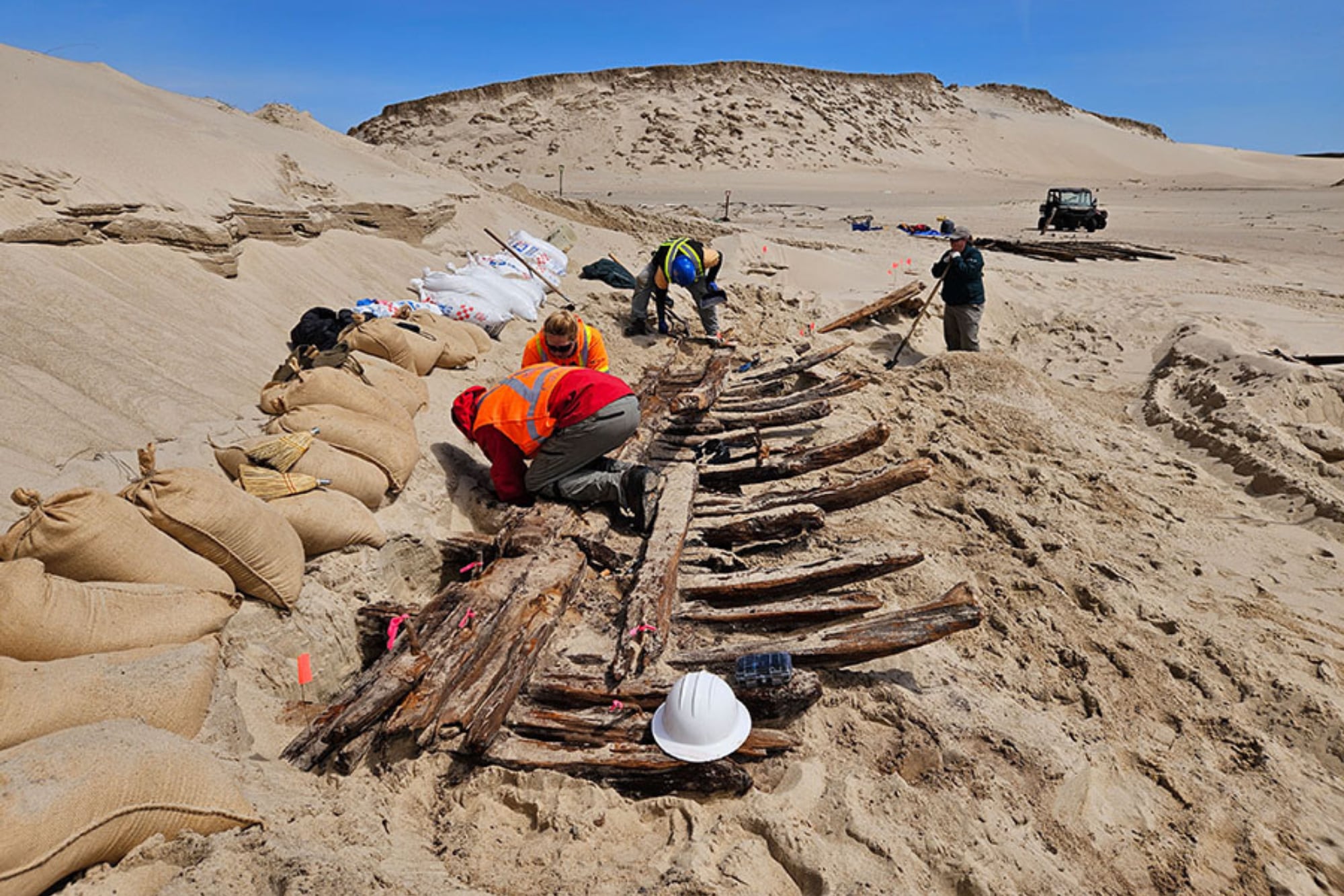 Las tareas se desarrollaron en dos campañas, en 2024 y 2025