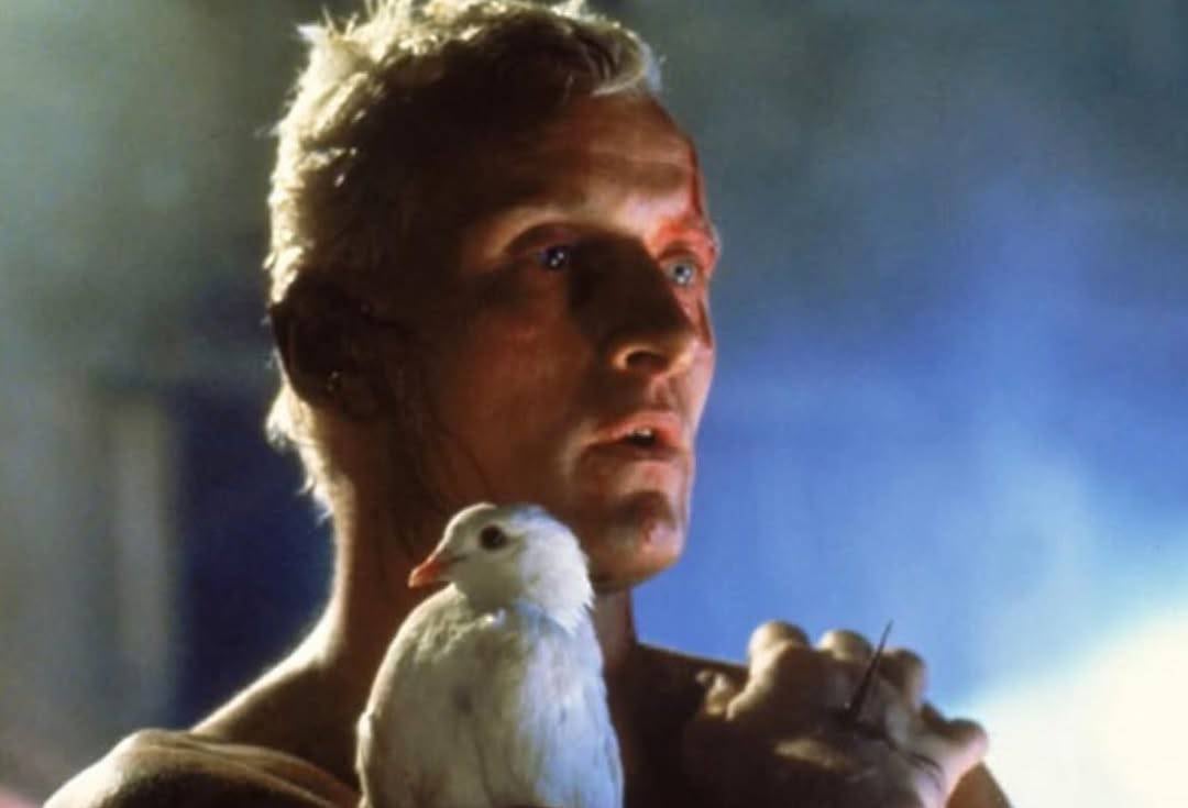 El androide Roy Batty (Rutger Hauer), poco antes de su muerte