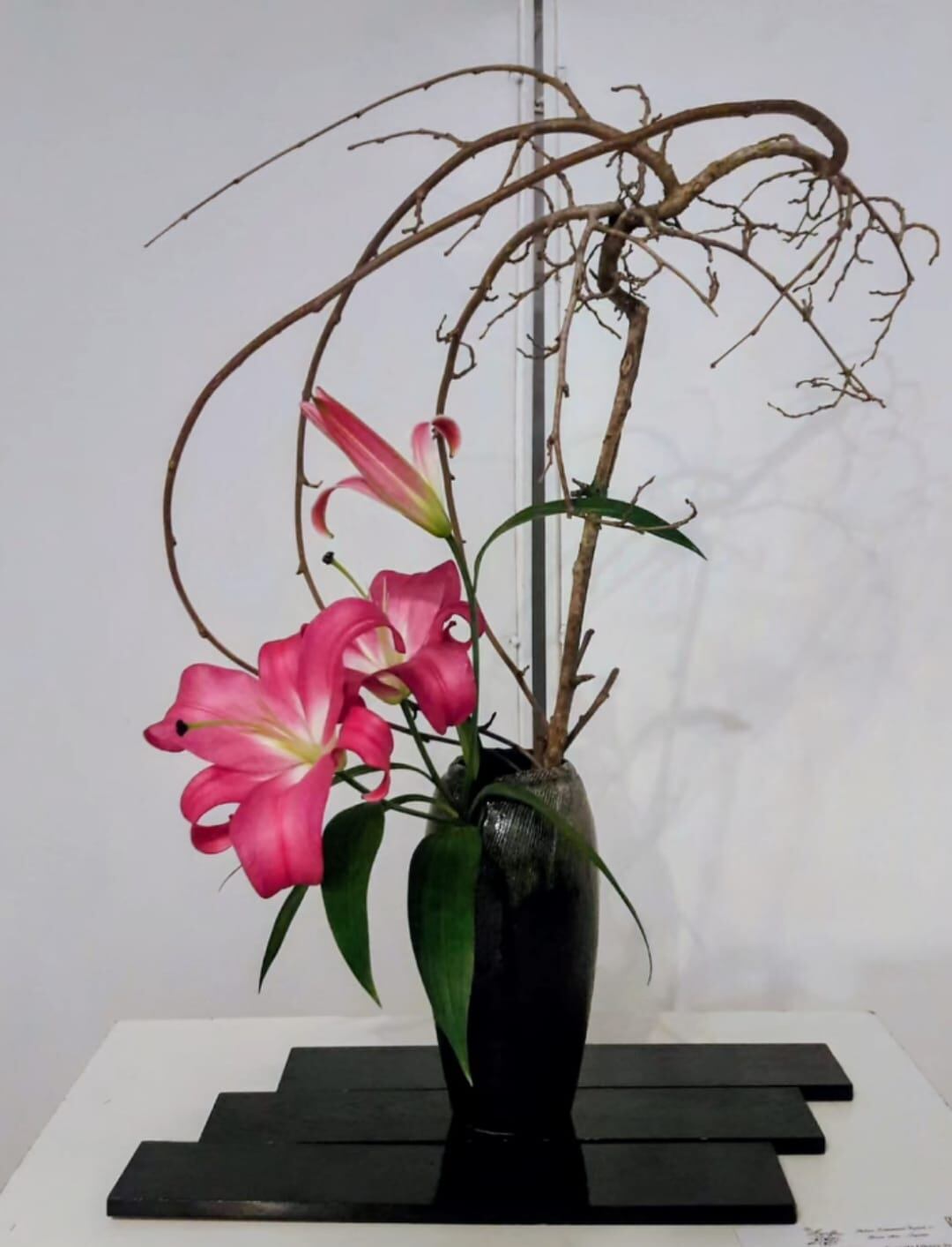 El arte del ikebana por Leticia Tanoue