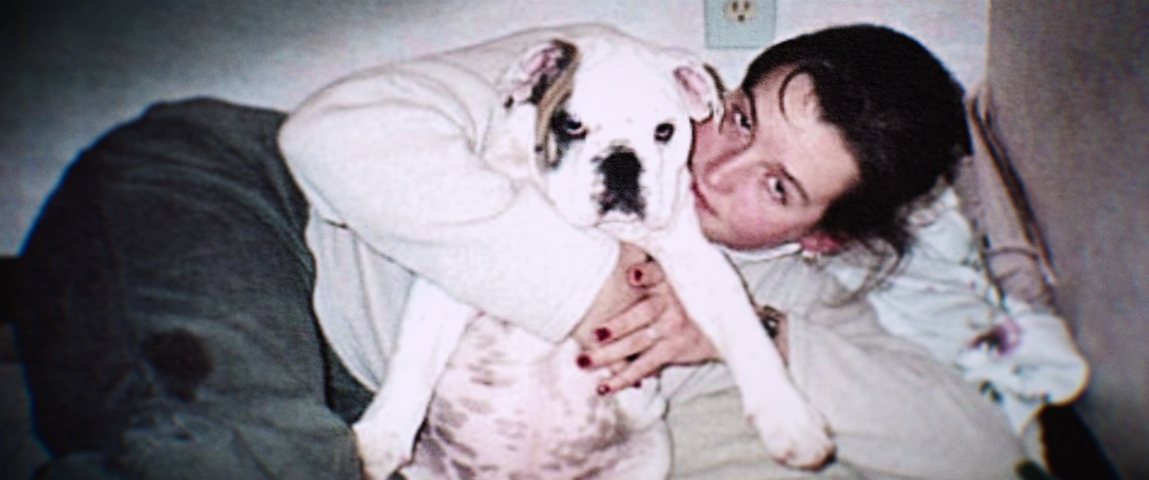 Se trataba de un viaje familiar de celebración. Amy contaba con nuevo departamento , empezaría un nuevo trabajo y acababa de adoptar un bulldog francés