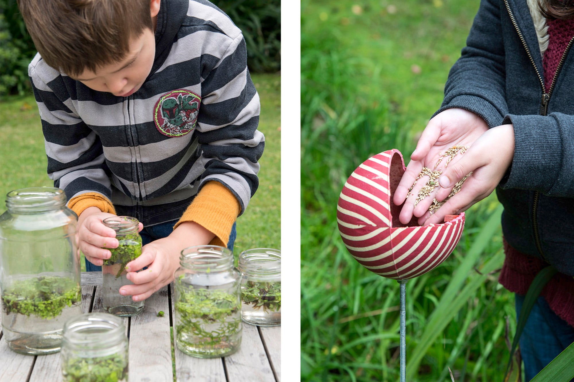 La creatividad es parte de la experiencia en la naturaleza. Criar plantas en agua o generar una casita improvisada para que las plantas acudan a comer.
