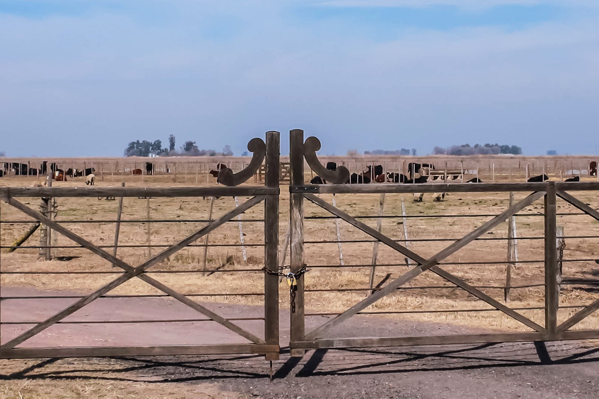 Tierras rurales: una reforma para cerrar un ciclo