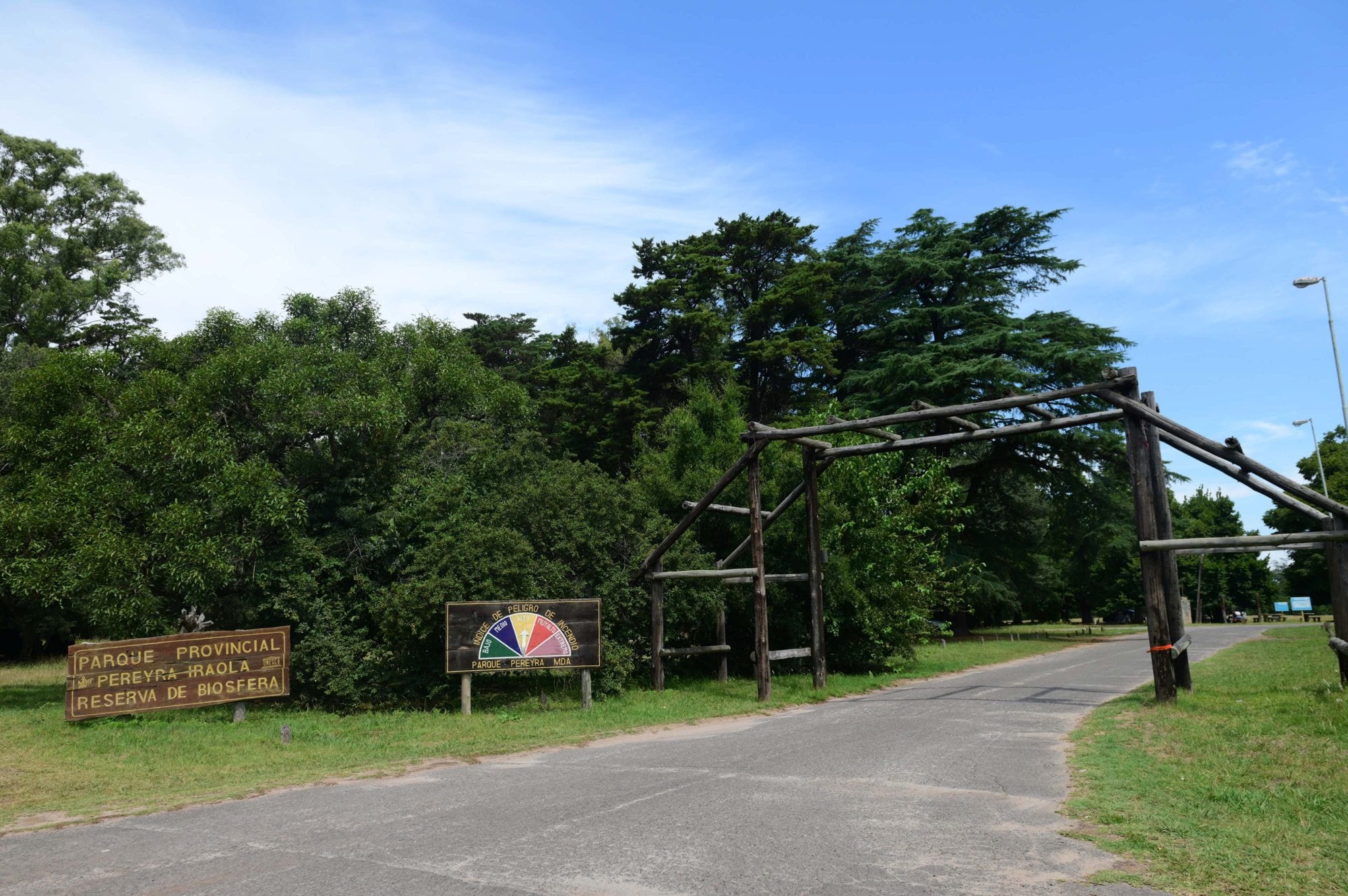 En el Parque Pereyra Iraola convive la flora nativa con la exótica y es un espacio por el que transitan miles de personas