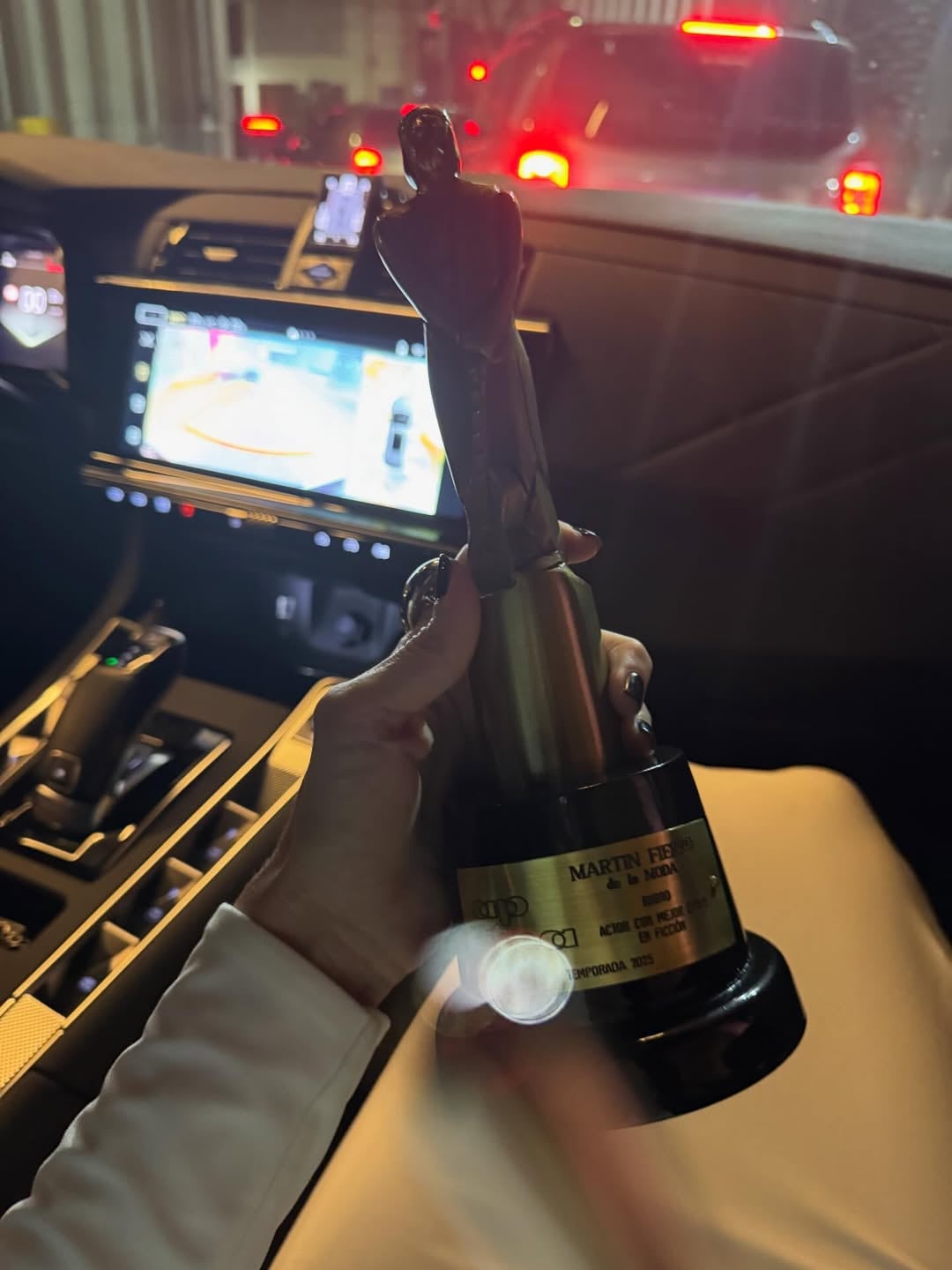 Vicuña ganó como actor con mejor estilo en ficción por Corazón delator (Foto: Instagram @anita.espasandin)