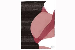 El niño por nacer está protegido por la Constitución