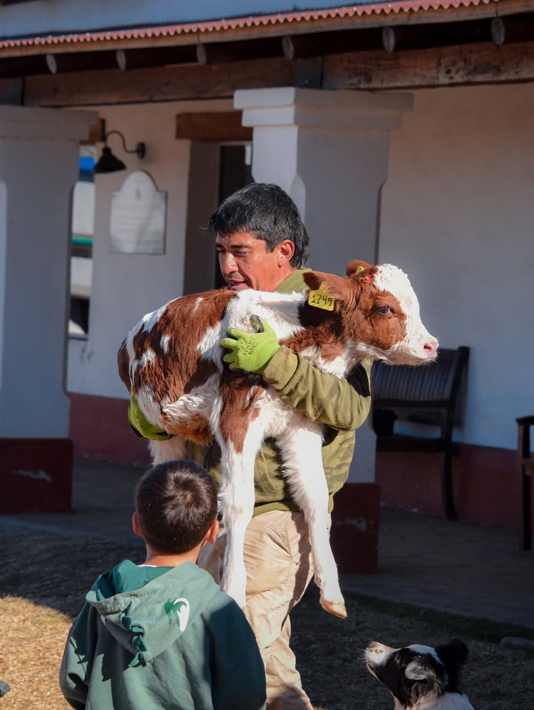 Hacen visitas guiadas para enseñar las tareas de un tambo