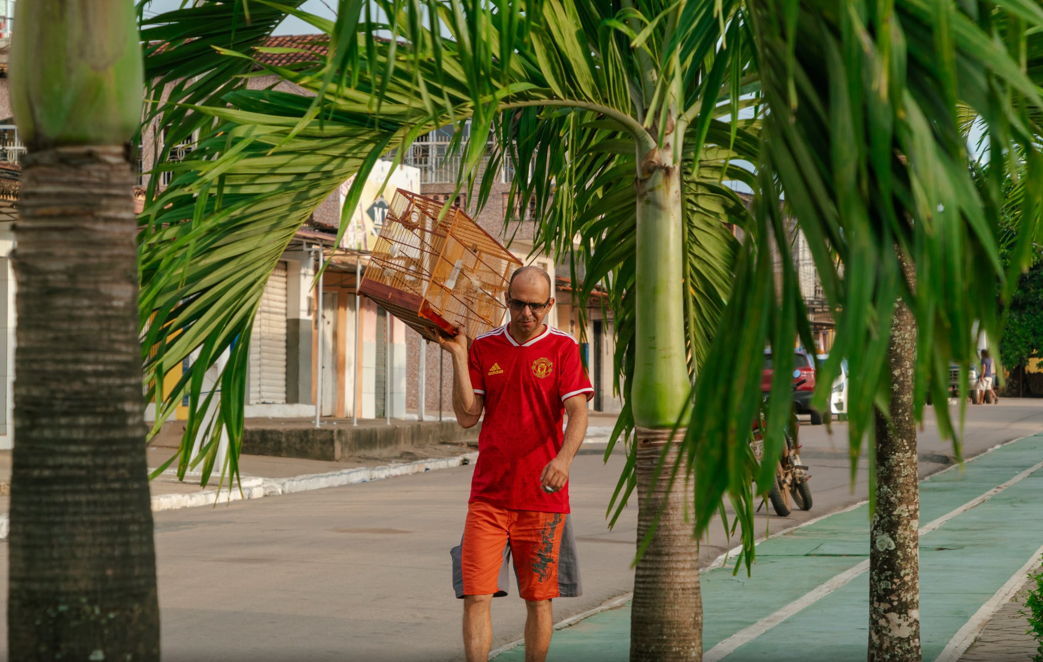 La cultura de pasear pájaros en sus jaulas