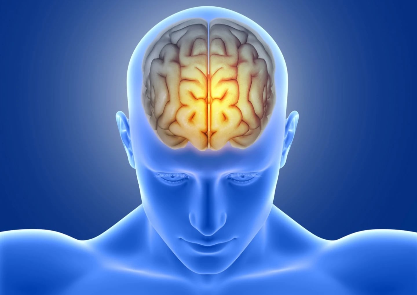 Estimulación sensorial: investigadores argentinos exploran cómo la luz y el sonido podrían reactivar neuronas en cerebros envejecidos