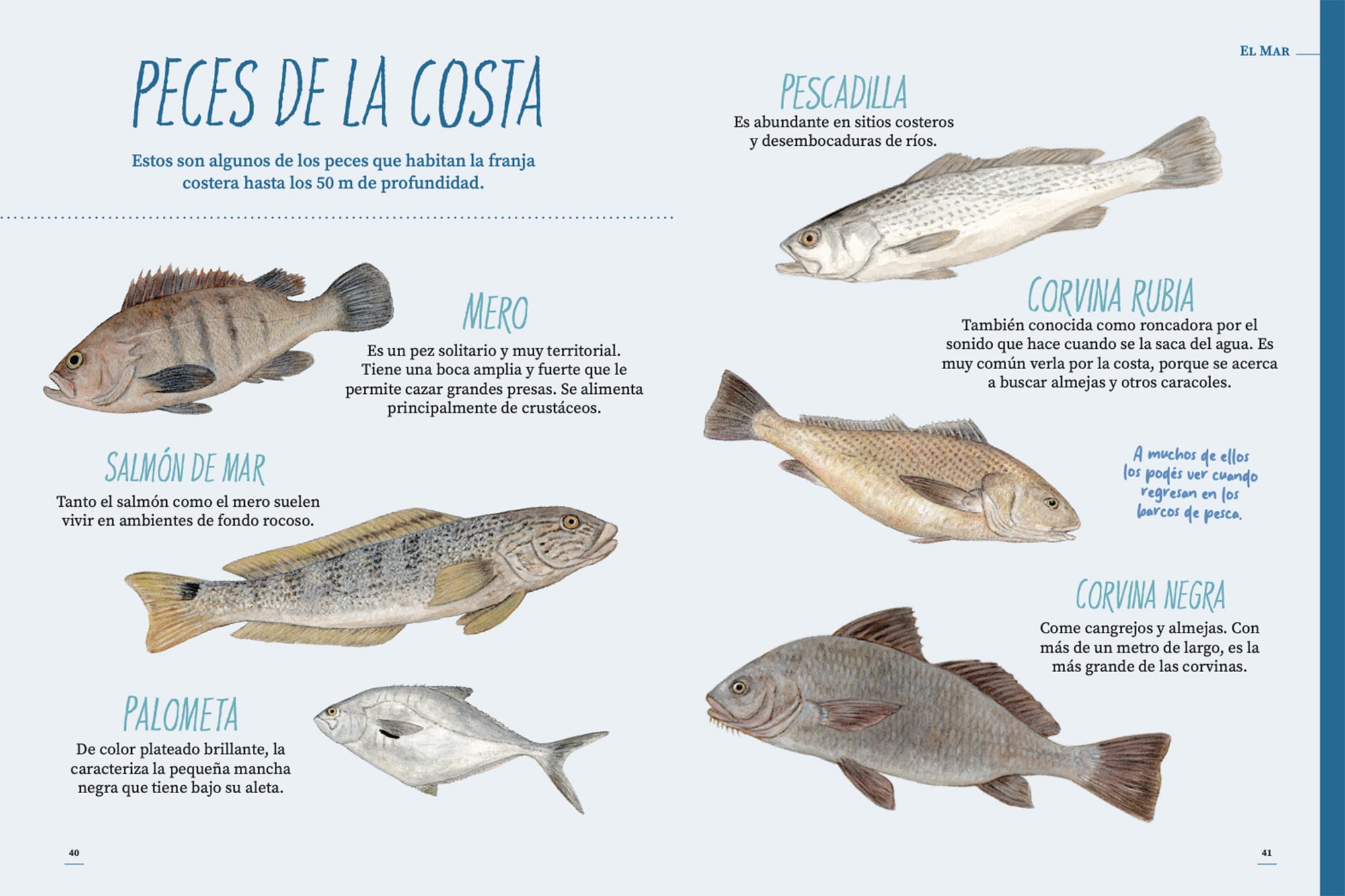 Los peces costeros en las páginas de