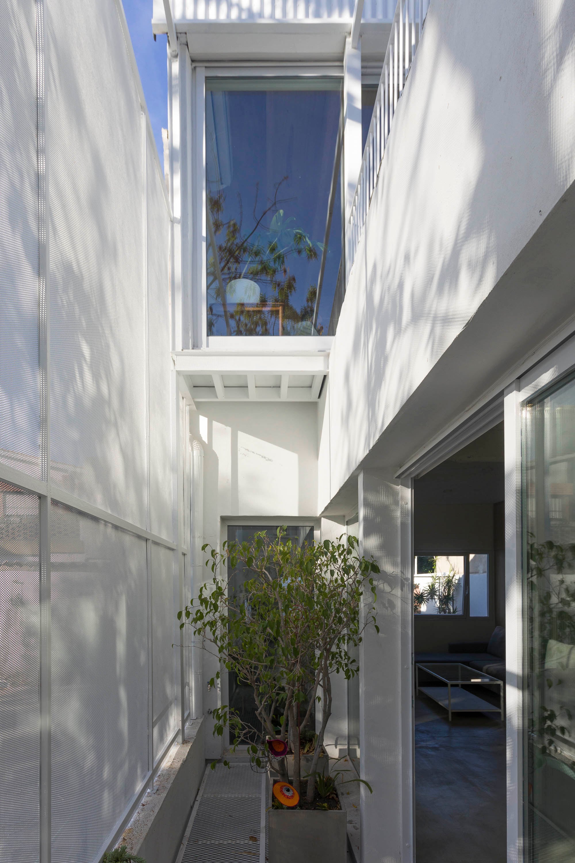 Para la expansión del primer piso, se creó un vacío en doble altura con plantas para aprovechar cada m2.