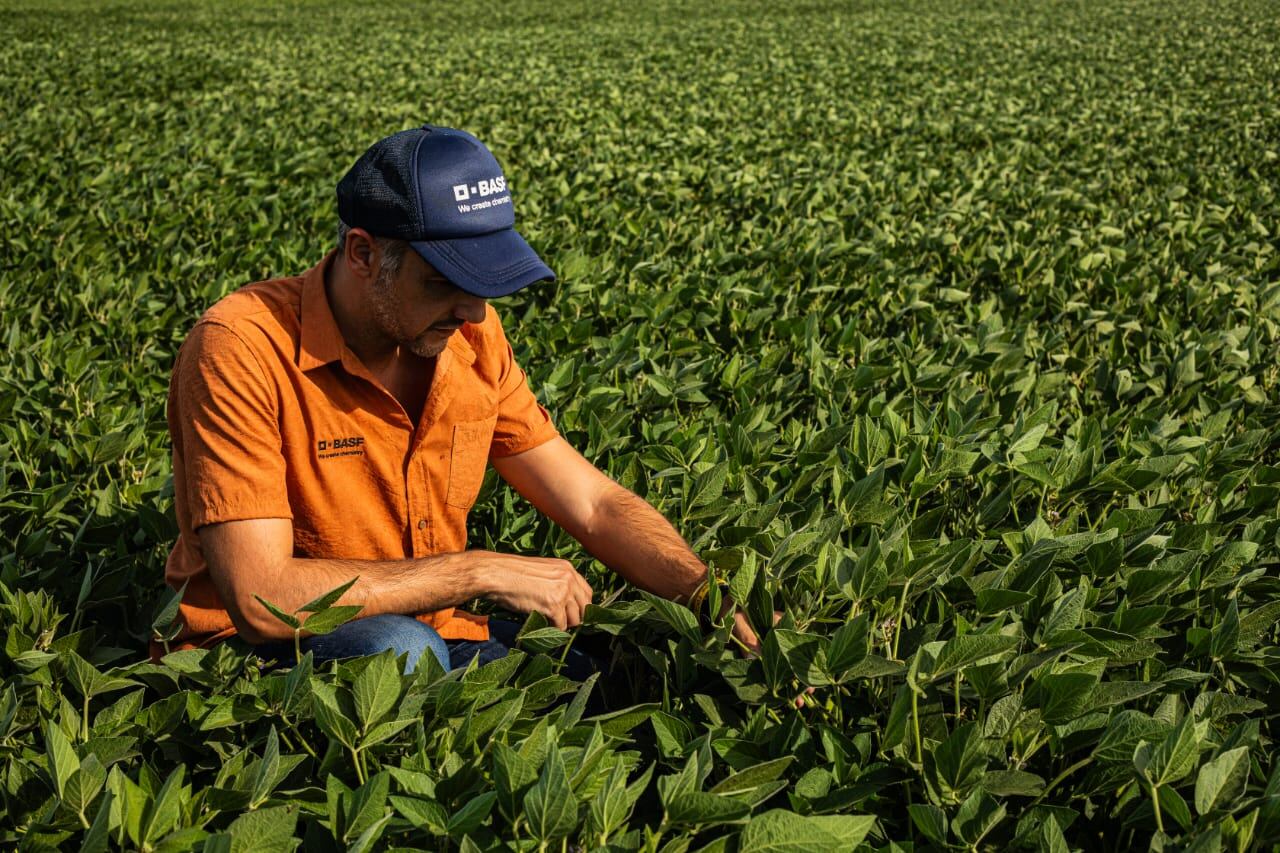 Estrategia de supervivencia: los grandes grupos industriales se reinventan