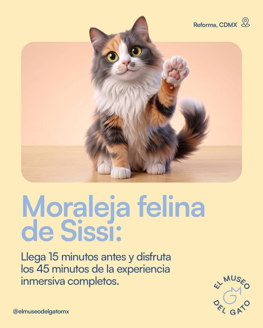 El museo cuenta con una experiencia que invita a los visitantes a observar el mundo desde una perspectiva similar a la de un gato