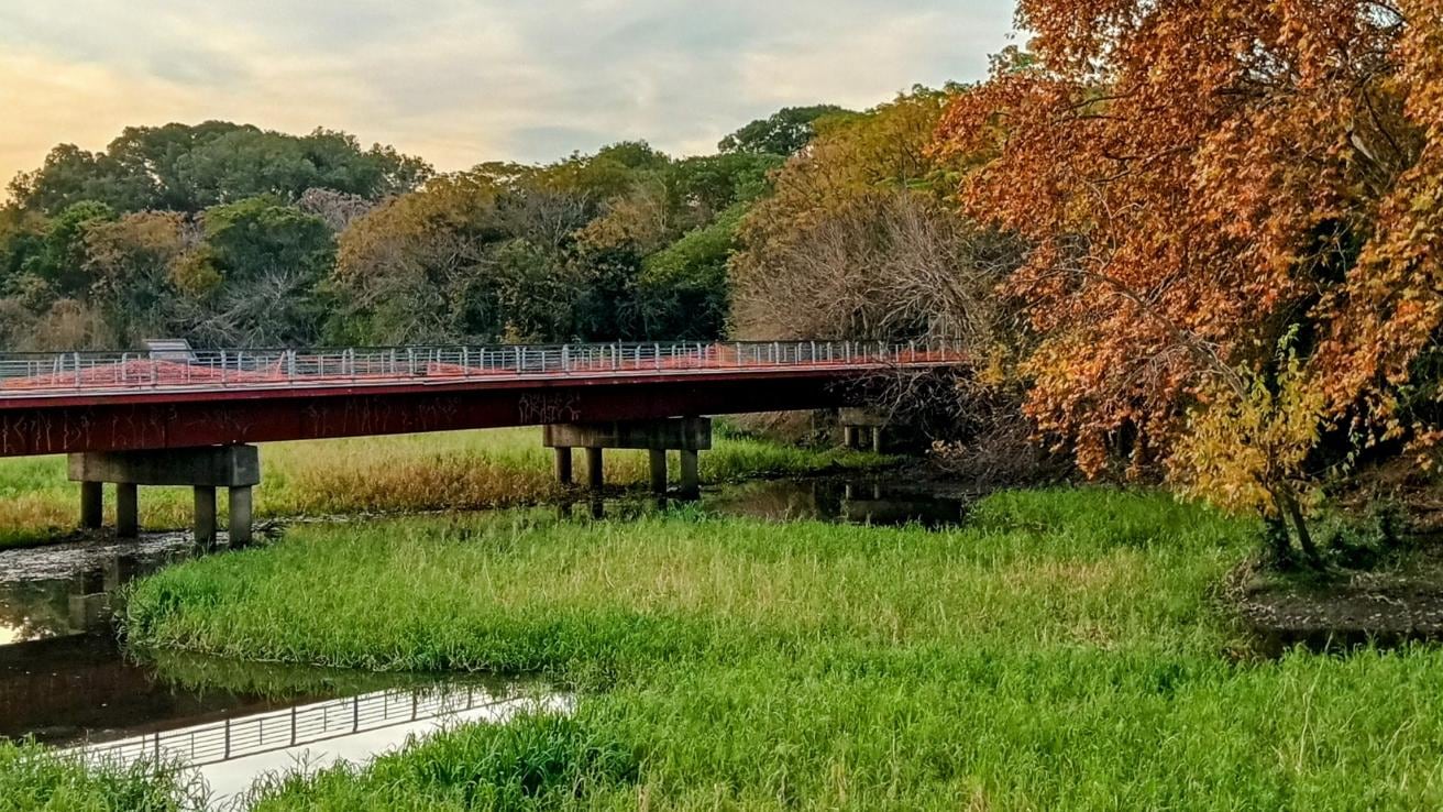 Salidas al aire libre con los chicos: dónde quedan las cuatro reservas ecológicas y lo que hay que saber antes de ir