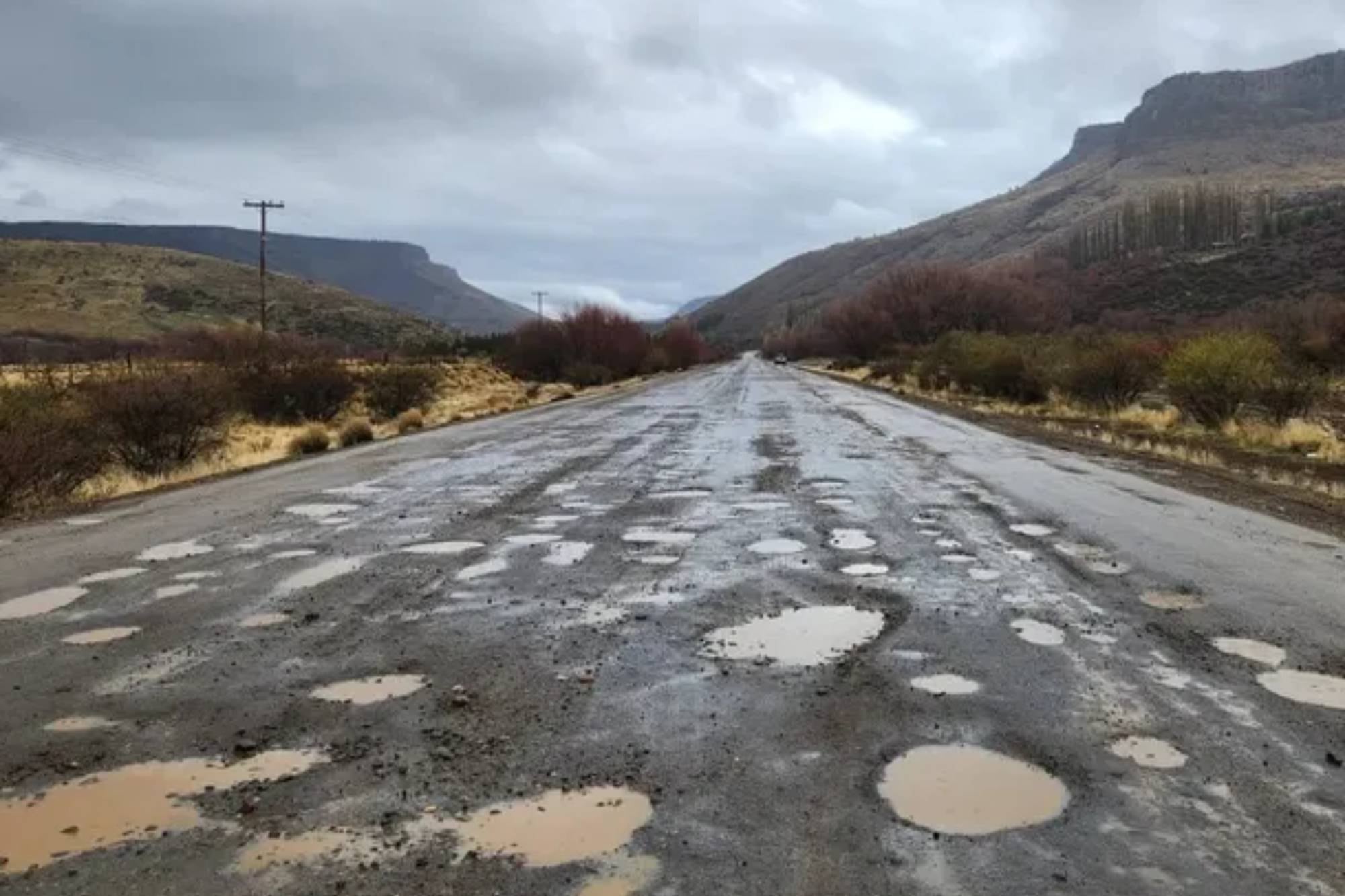 Rutas, deterioro y un organismo que resistió la motosierra: el año en el que Vialidad y el “club de la foto carnet” volvieron a la vida