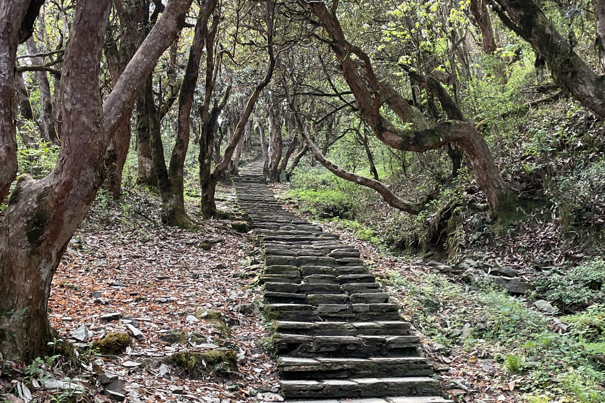 “Las escaleras eran interminables y cada vez que miraba para arriba me preguntaba qué estaba haciendo ahí...