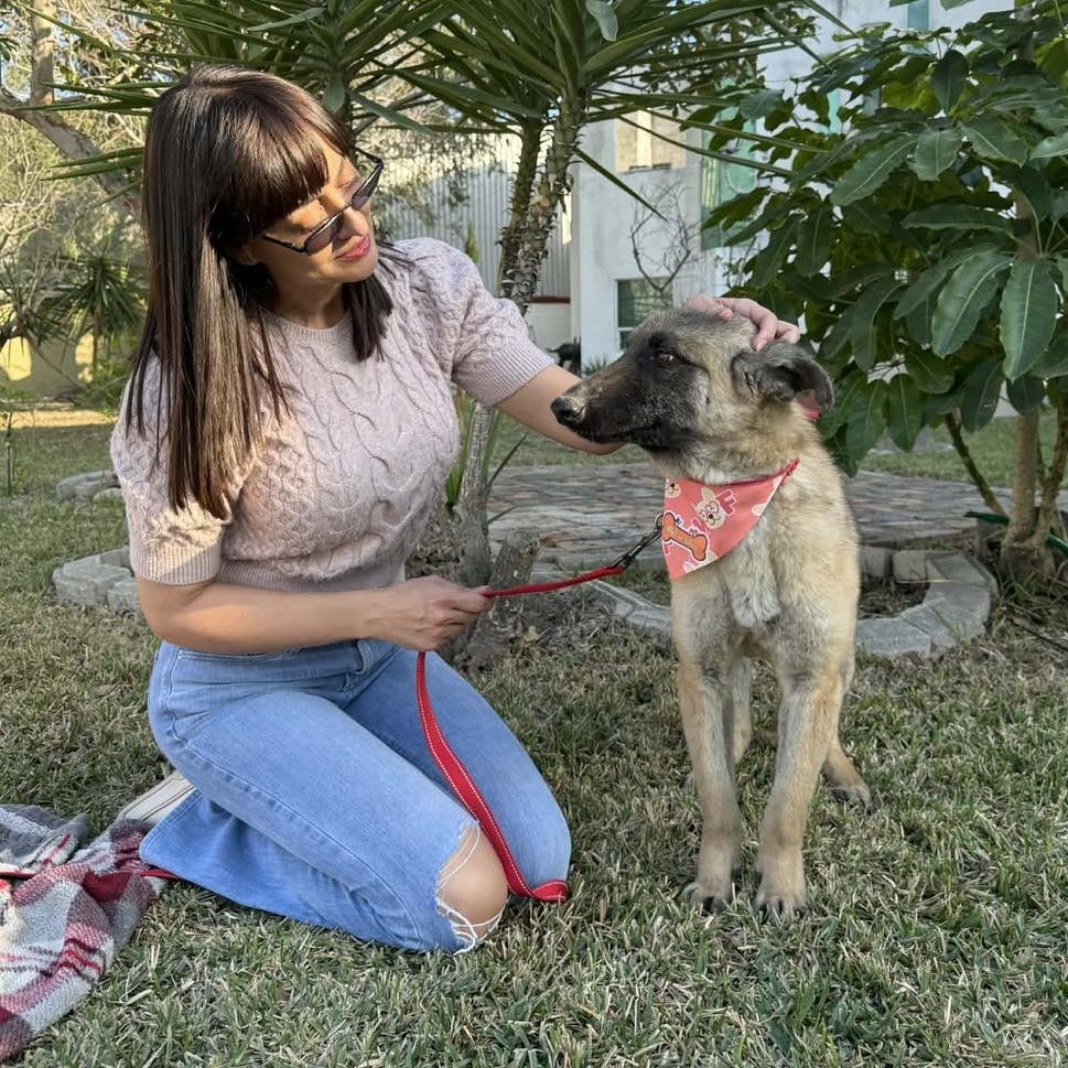 Toto pasó de ser invisible a convertirse en un hermoso perro peludo.