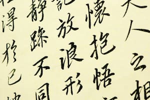 Un poco de viento en la cara