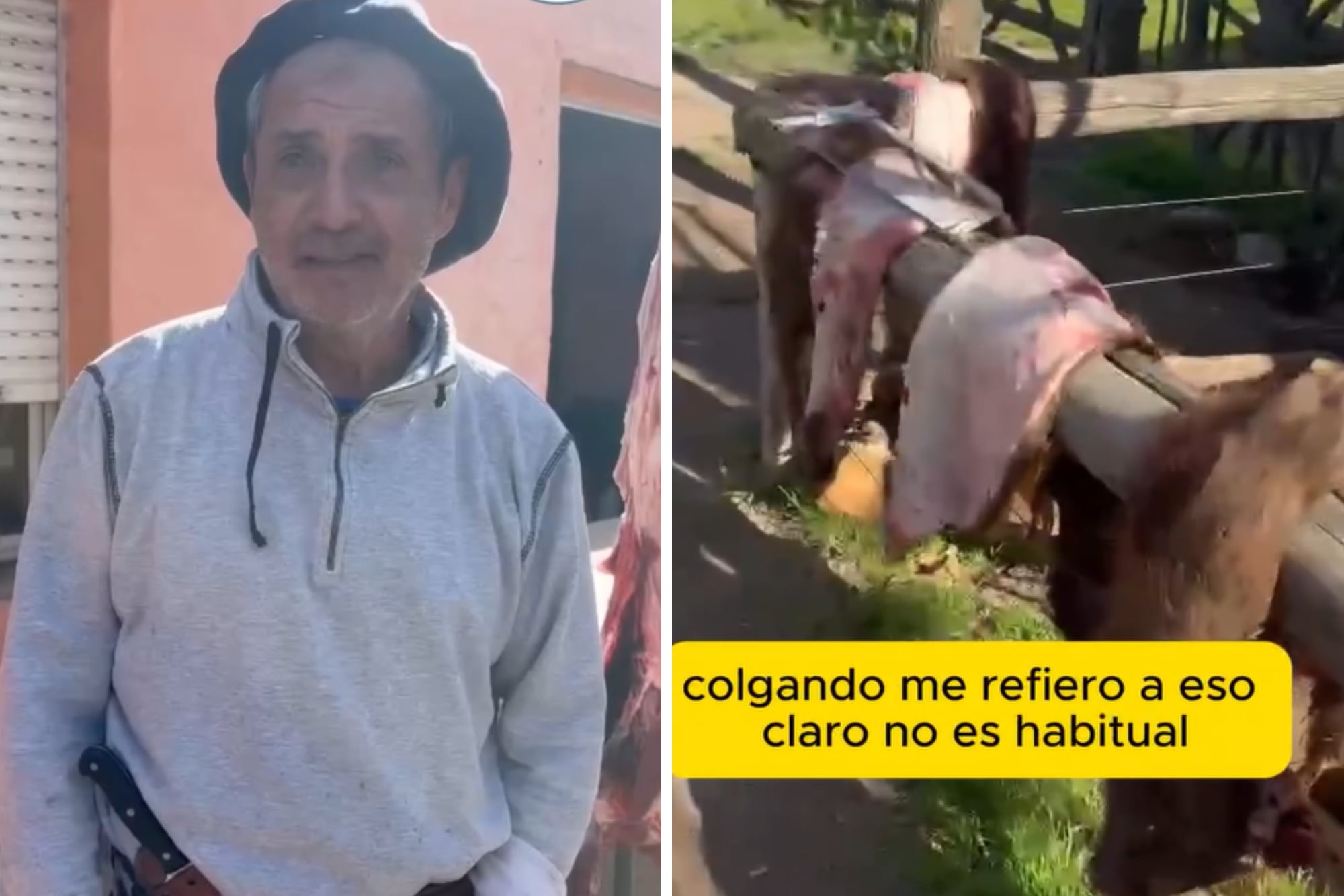 Gabriel Molina colgó las media reses en el patio de su casa