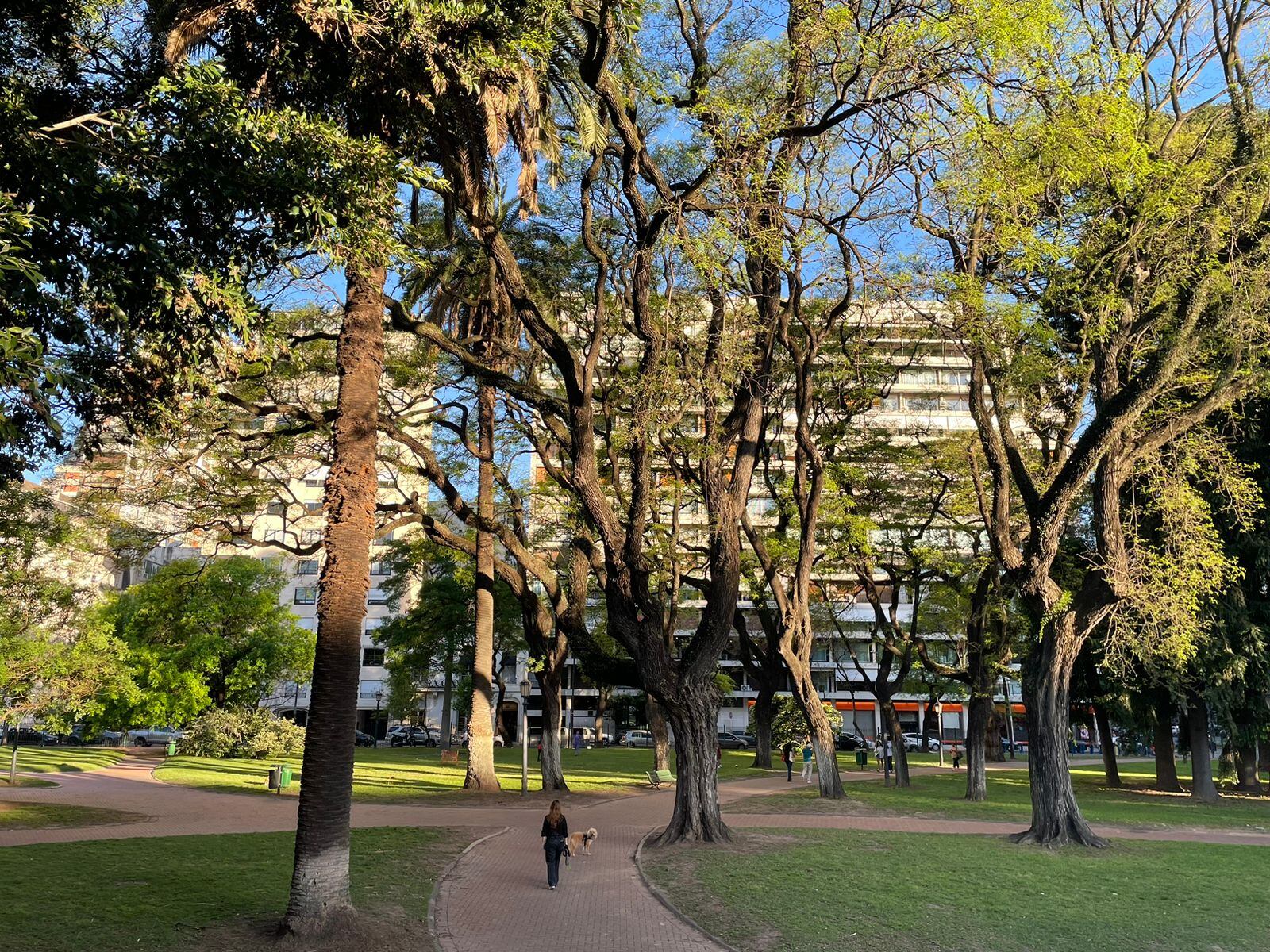 Los nuevos proyectos en la zona de Plaza Alemania son una oportunidad única porque conseguir terrenos para construir es casi una misión imposible