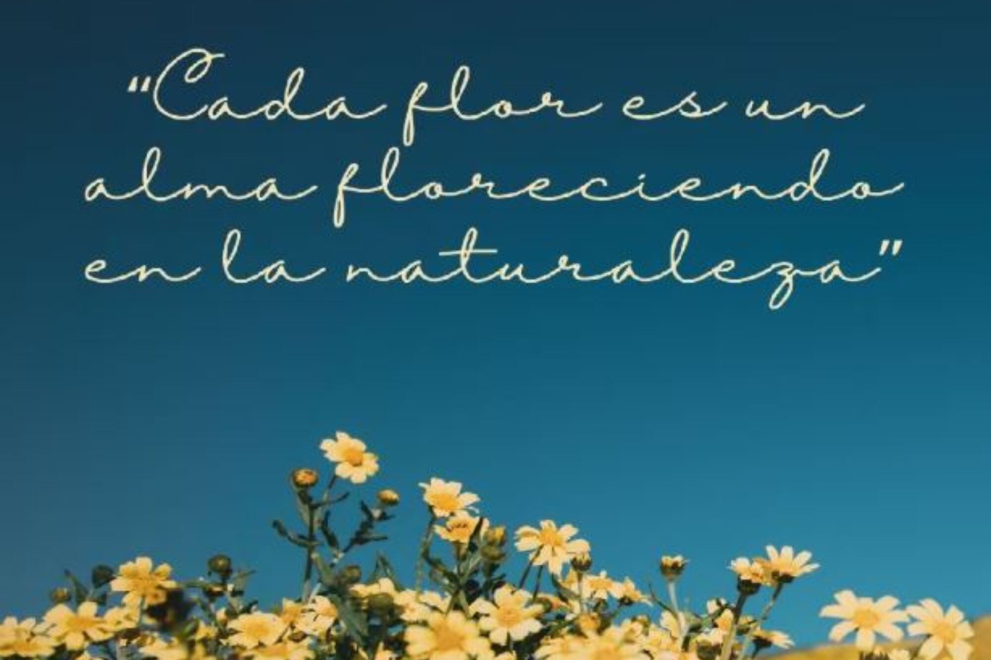 Frases para recibir la Primavera 2025