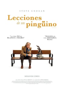 Lecciones de un pingüino
