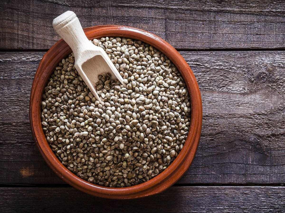 Los alimentos basados en semillas de cáñamo ofrecen un contenido equilibrado de importantes nutrientes