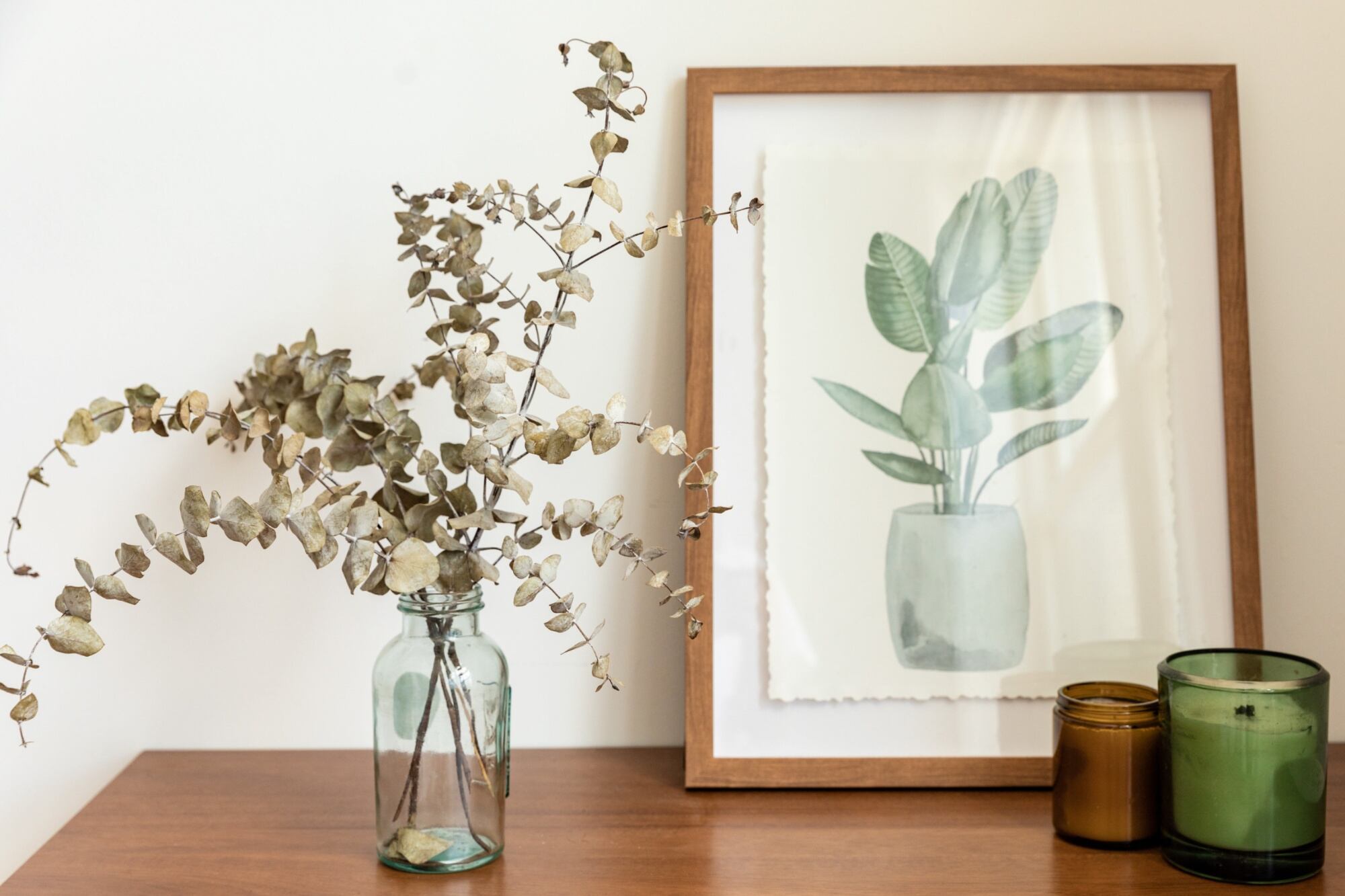 Las ramas de eucalipto tienen muchos beneficios