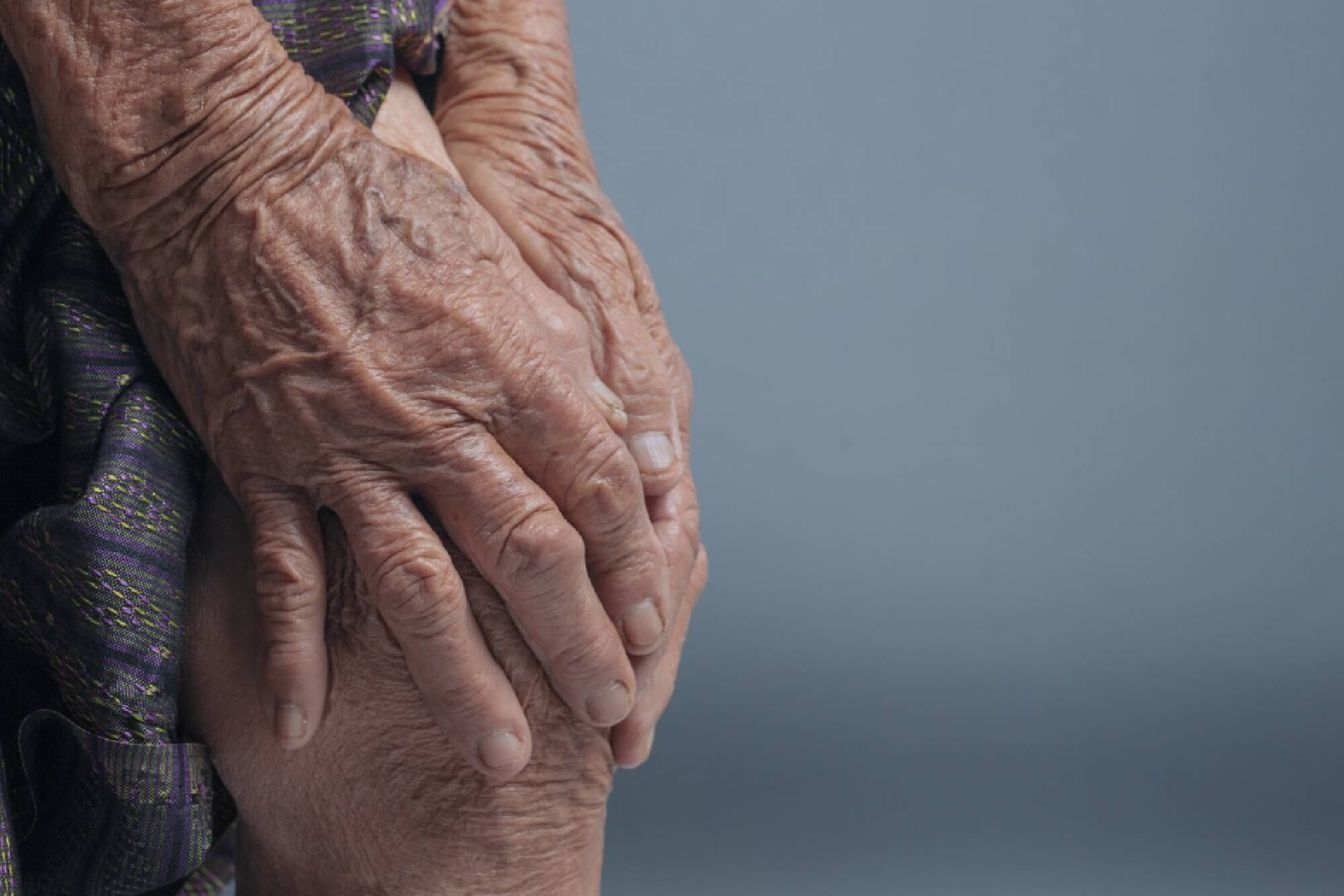 El orégano puede calmar el dolor de rodilla debido a su amplia cantidad de antioxidantes