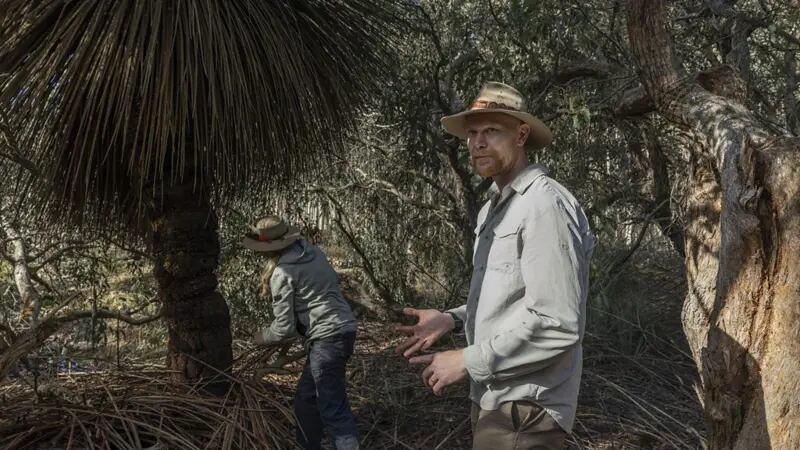 Karen Burke Da Silva y Julian Beaman examinan un árbol quemado dentro de The Koala Sanctuary en Isla Canguro