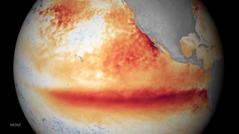 El Niño provoca aguas inusualmente cálidas en la superficie del océano Pacífico tropical oriental y central