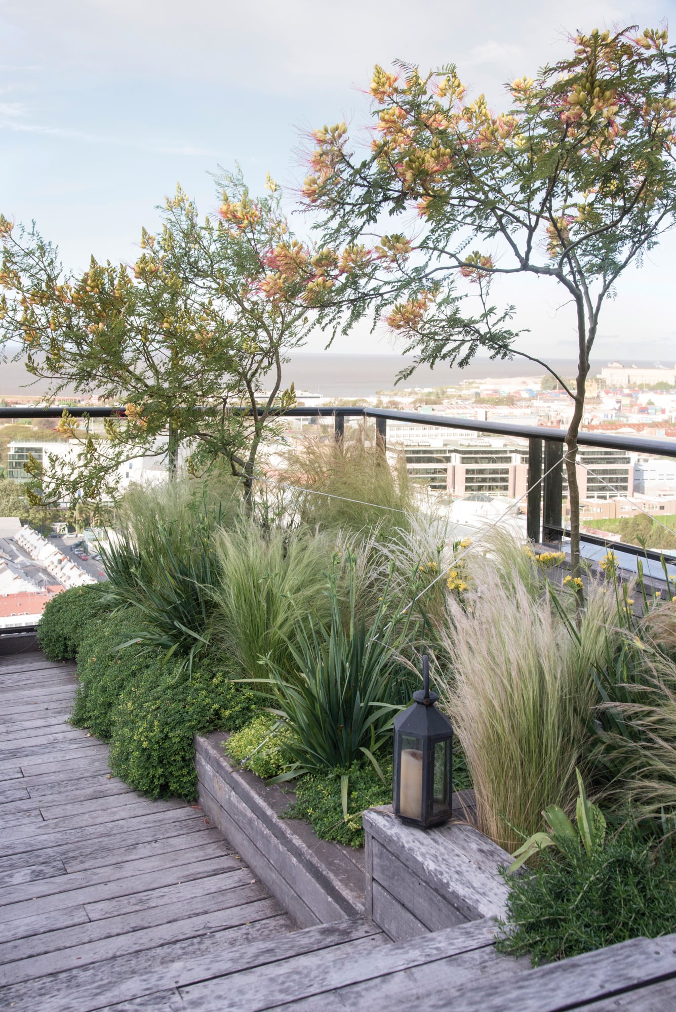 Gramíneas, perennes y follajes estructurales construyen ritmo incluso en espacios mínimos