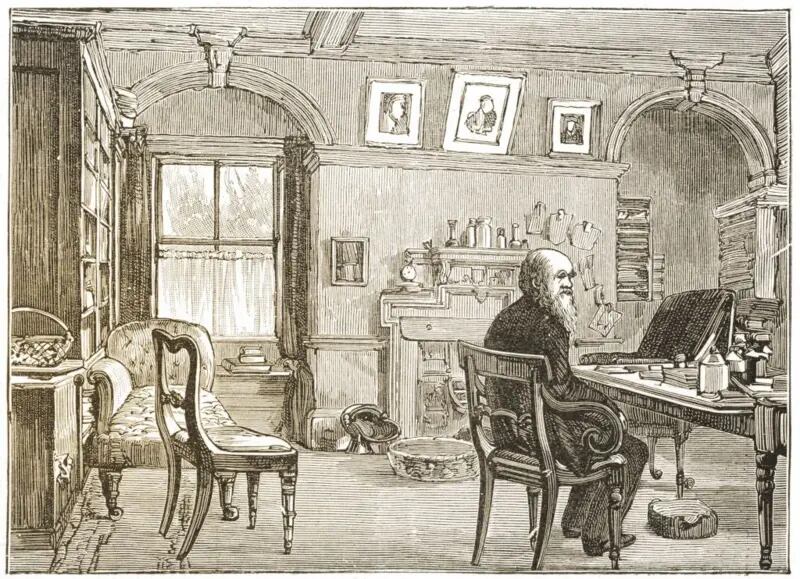 Emma no sólo se ocuparía de todos los aspectos domésticos y sociales para que Darwin trabajara tranquilo, sino que sería su amanuense, y le leería y traduciría del francés, alemán e italiano