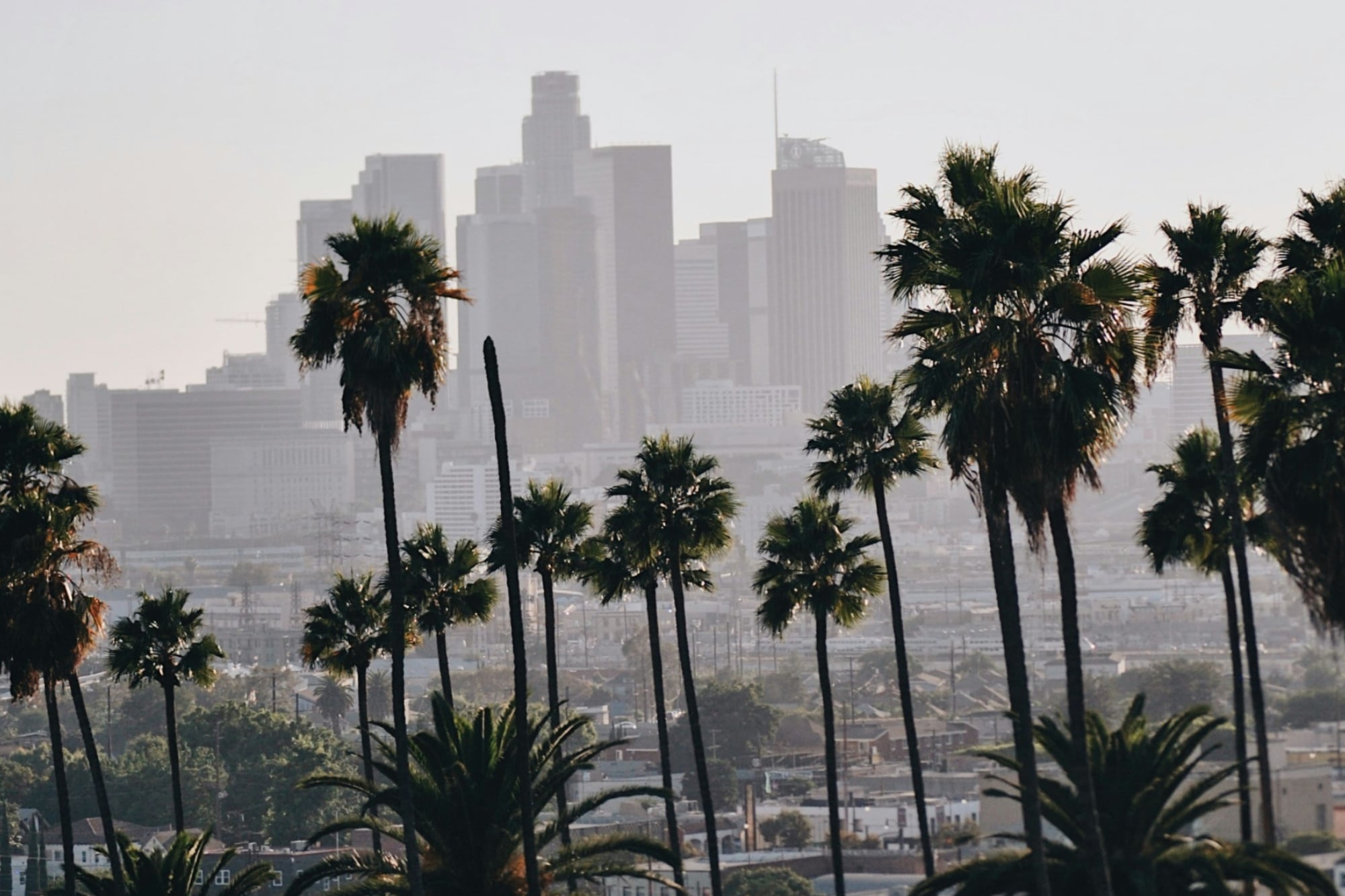 Los principales requisitos que hay que cumplir para acceder al programa / Unsplash