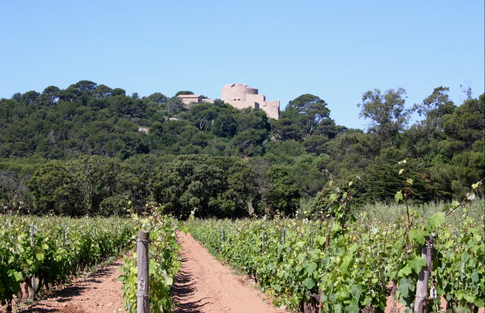 Viñedos de La Courtade, detrás Santa Ágata