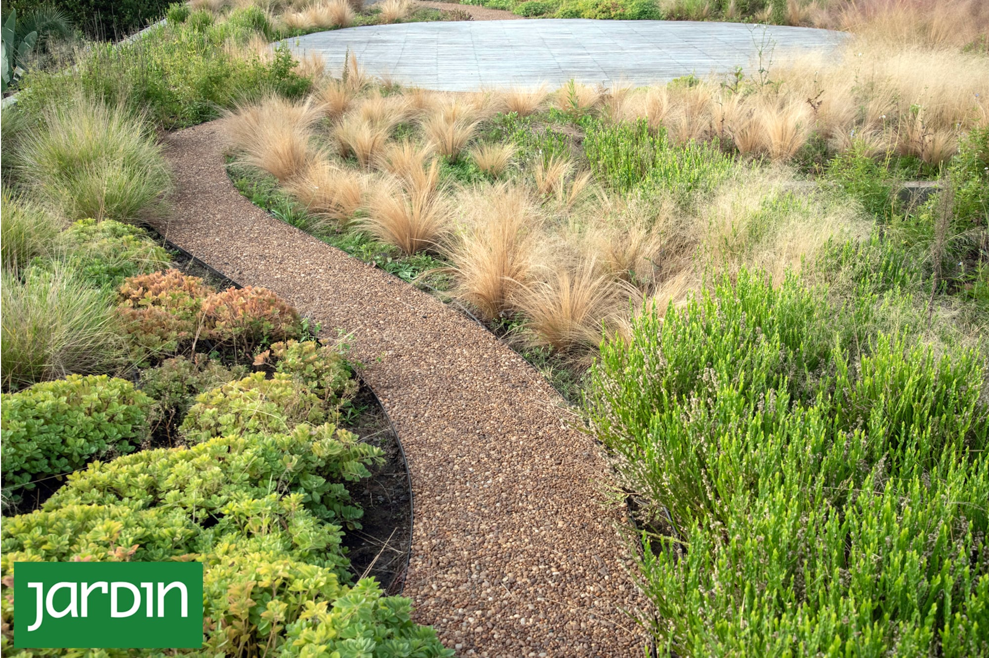 Más allá de la flor: Cómo diseñar con texturas y movimientos, sin depender de las floraciones