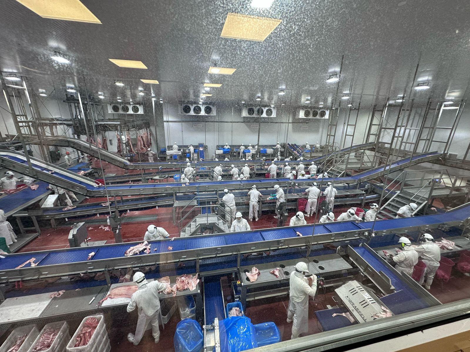 El establecimiento de Interpork SA del cual son socios los productores