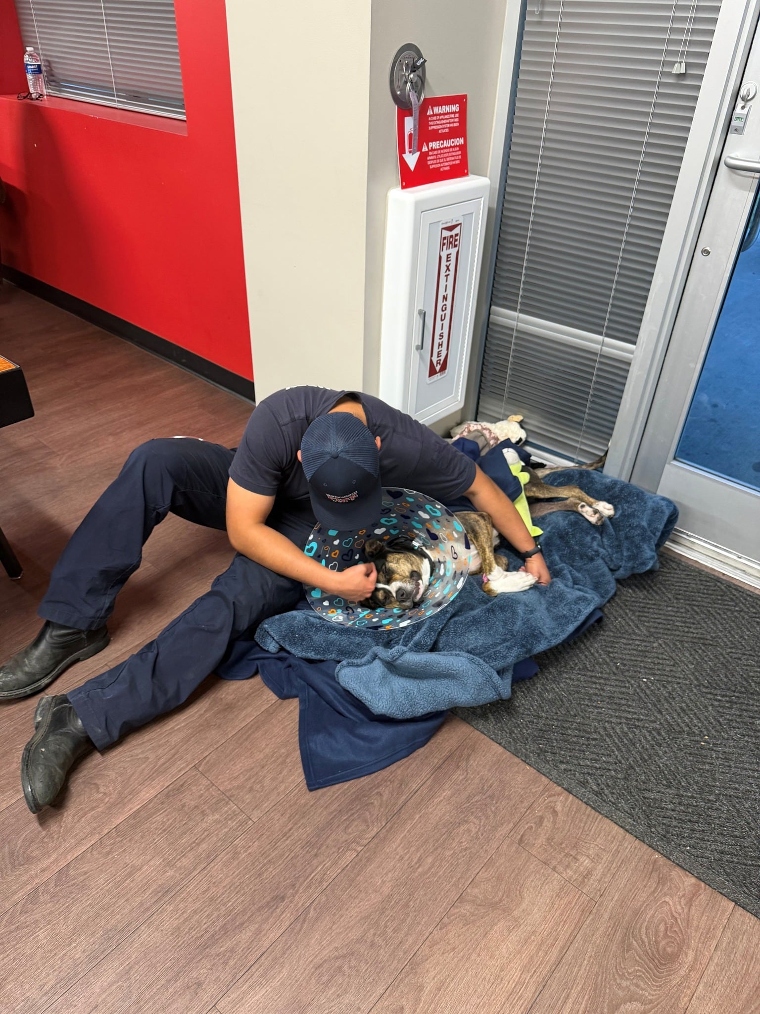 Un fin de semana, Cookie Marie apareció rengueando, visiblemente dolorida.