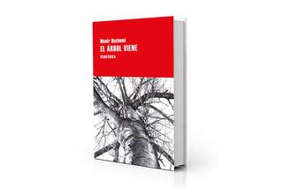 Reseña: El árbol viene, de Munir Hachemi
