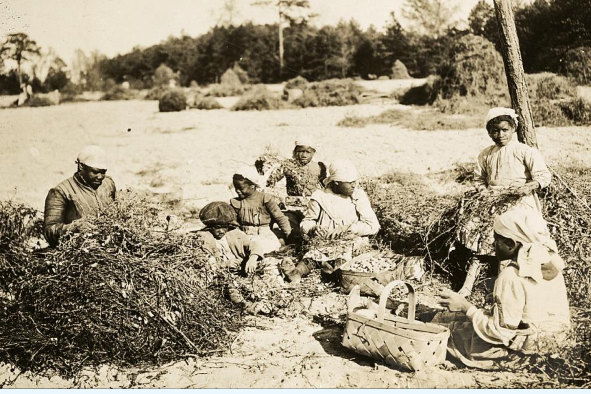 Personas esclavizadas en la época en la que Harriet Jacobs nació