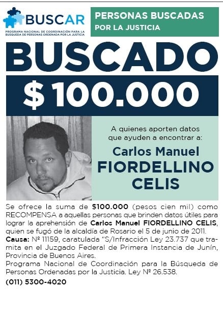 Fiordellino Celis